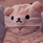 wholesome kinky memes instagram profile photo