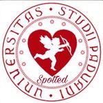 spottedunipd Instagram profile with posts and stories 