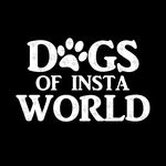 dogsofinstaworld