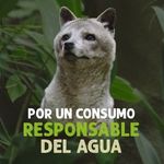 alcaldiabogota