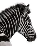 Investec